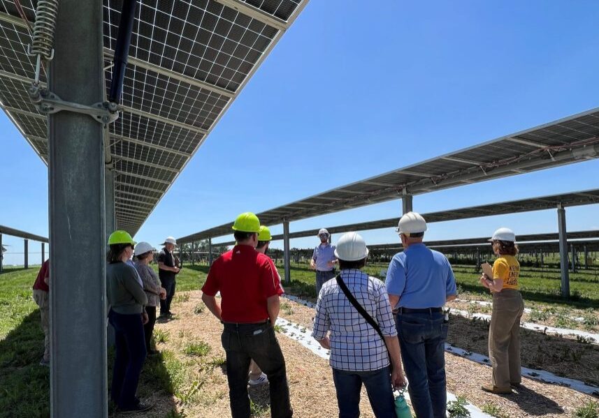 Group Picture Under Panels